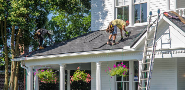 Professional Roofing Contractor in Lovelock, NV